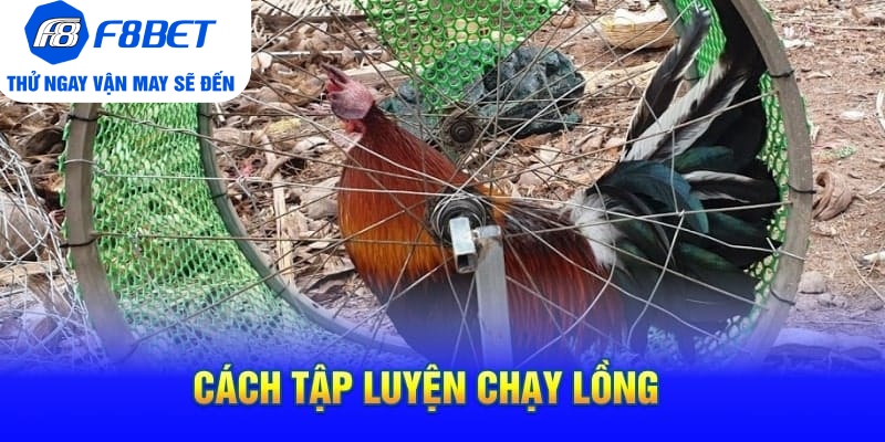Cách Tập Luyện Chạy Lồng